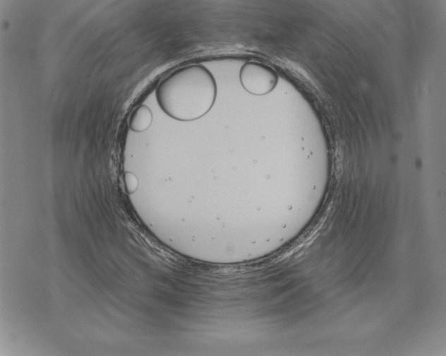 X0000074001212200609111550