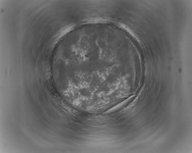 X0000074001213200609111550