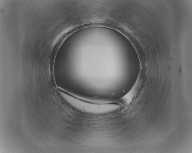 X0000074001214200609111550