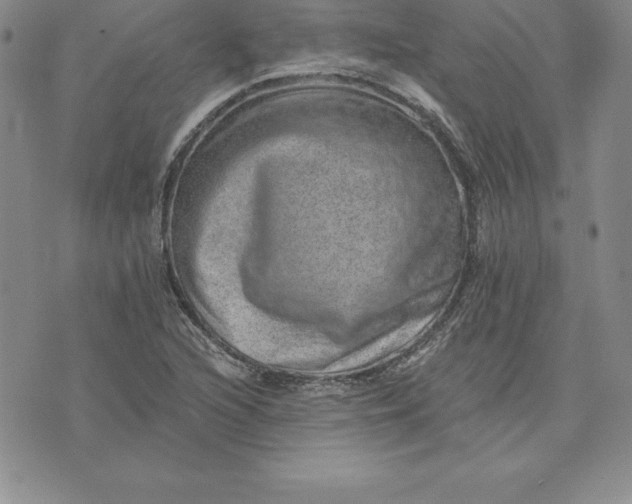 X0000074001216200609111550