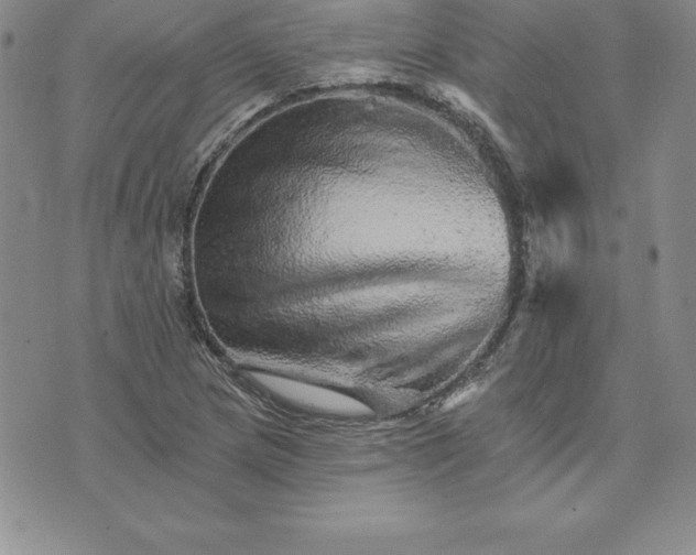 X0000074001217200609111550