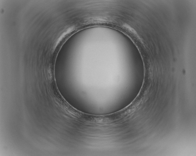 X0000074001218200609111550