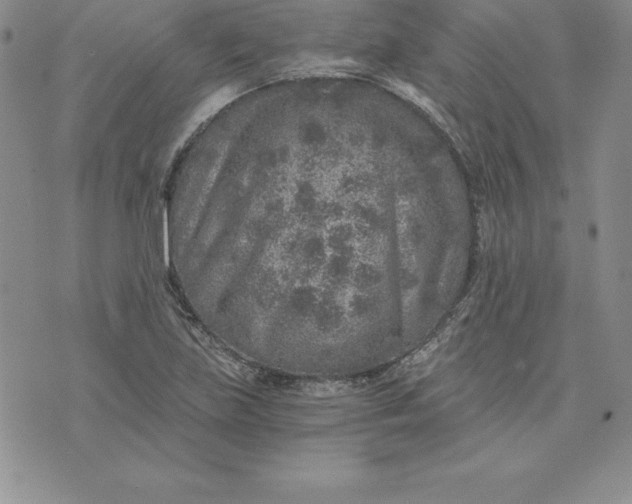 X0000074001219200609111550