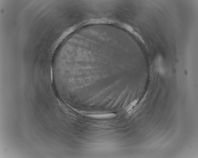 X0000074001221200609111550