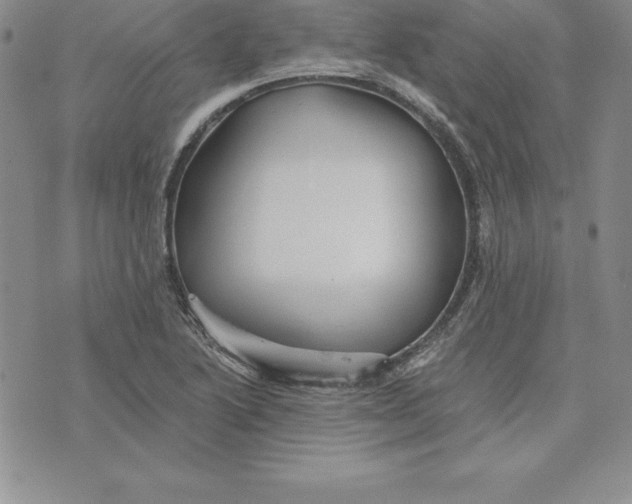 X0000074001222200609111550