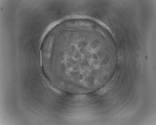 X0000074001223200609111550