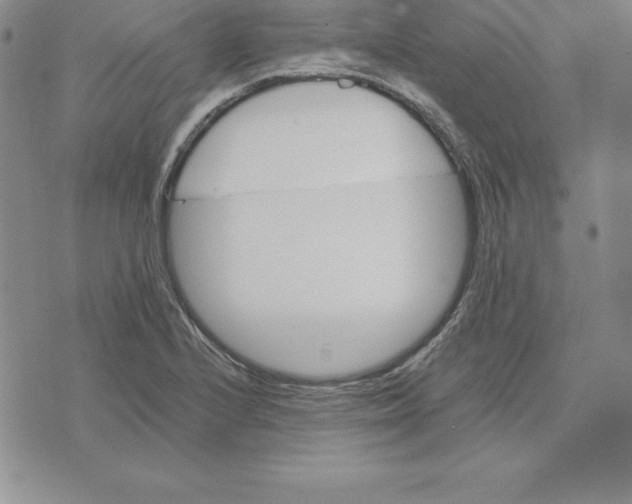 X0000074001224200609111550