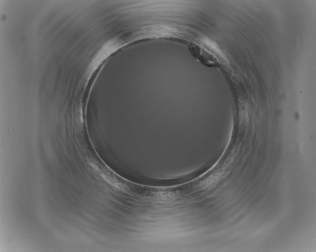 X0000074001226200609111550