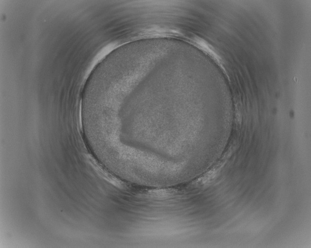 X0000074001227200609111550