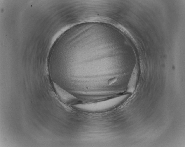 X0000074001230200609111550