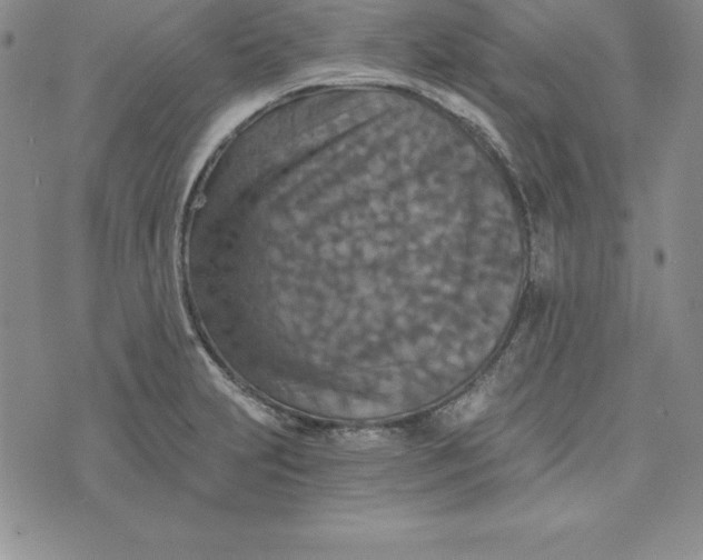 X0000074001231200609111550