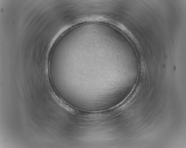 X0000074001232200609111550