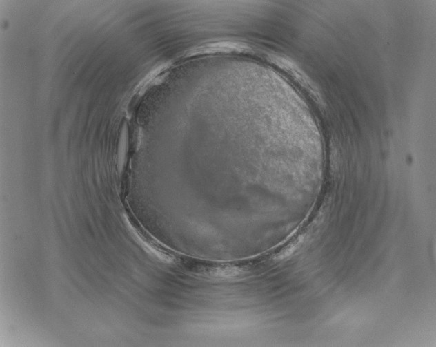 X0000074001233200609111550