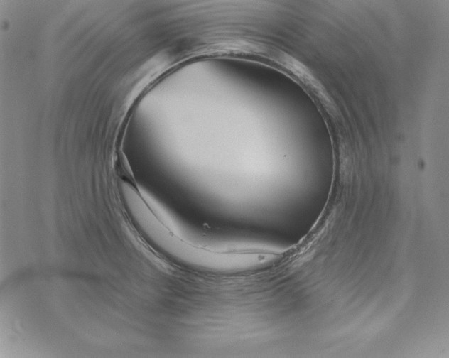 X0000074001234200609111550