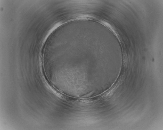 X0000074001235200609111550