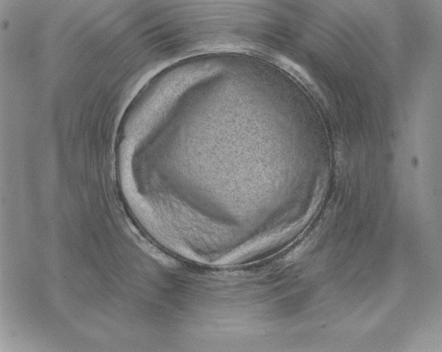 X0000074001236200609111550