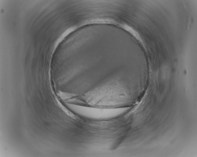 X0000074001237200609111550