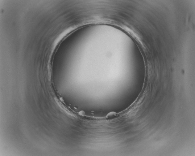 X0000074001238200609111550