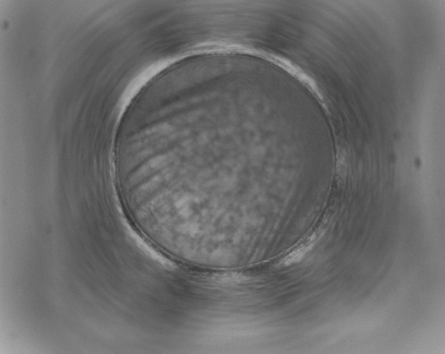 X0000074001239200609111550