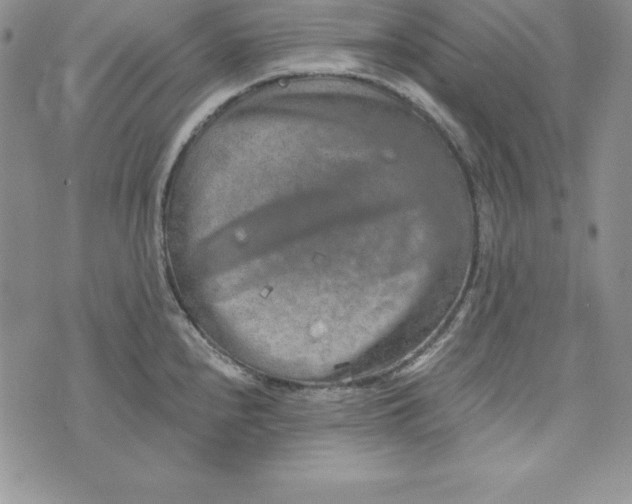 X0000074001240200609111550