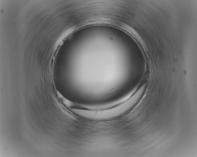 X0000074001242200609111550