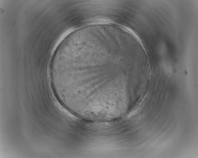 X0000074001243200609111550