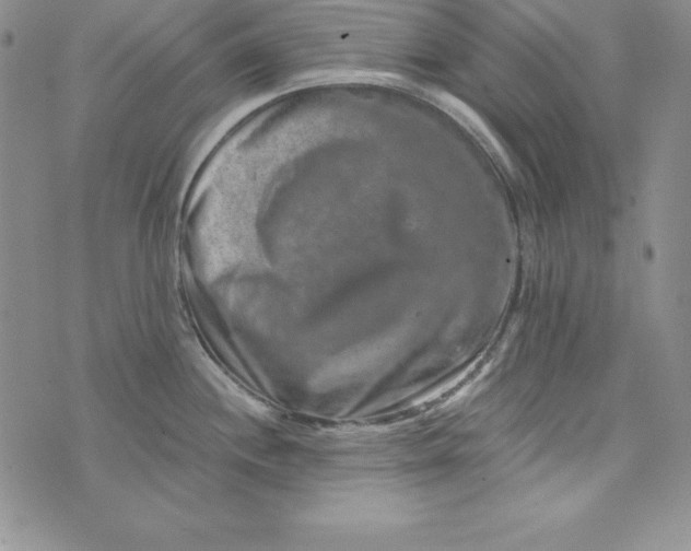 X0000074001244200609111550