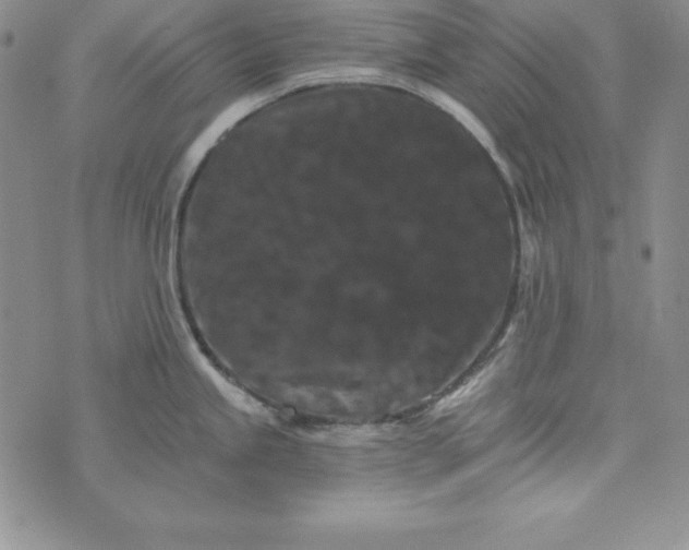 X0000074001245200609111550