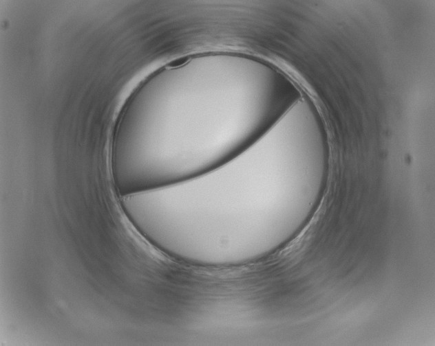 X0000074001246200609111550