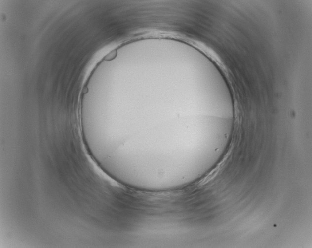 X0000074001247200609111550