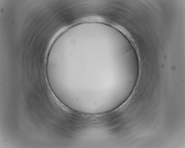 X0000074001248200609111550