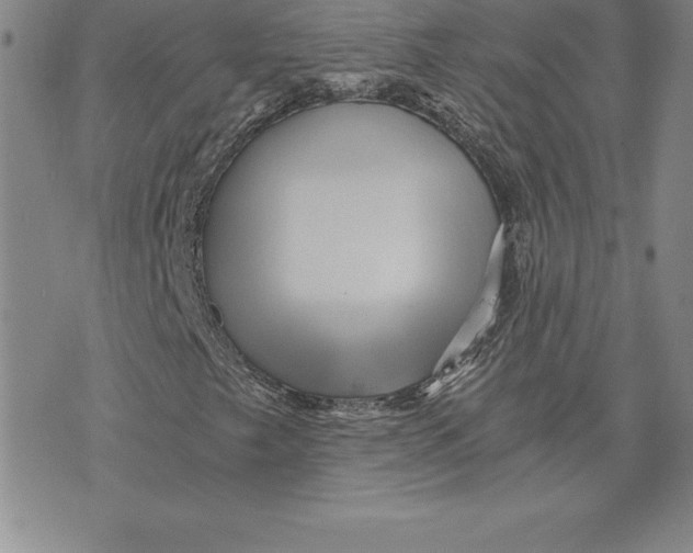 X0000074001249200609111550