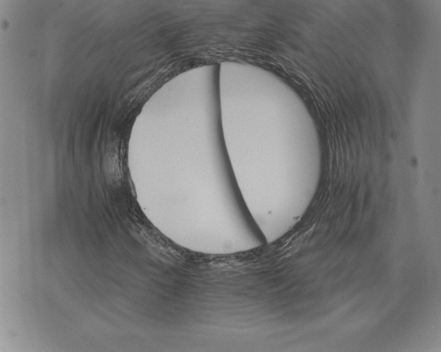 X0000074001250200609111550