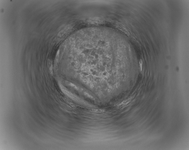 X0000074001251200609111550