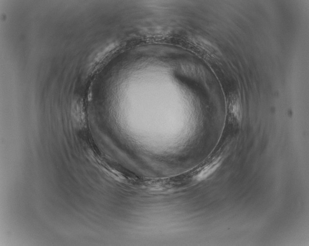 X0000074001252200609111549