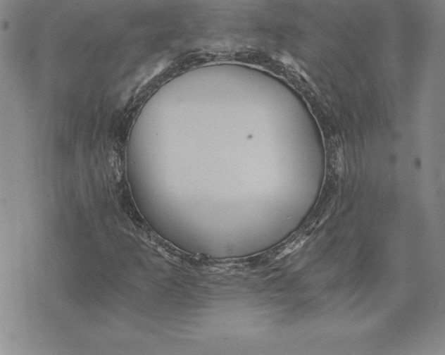 X0000074001253200609111549