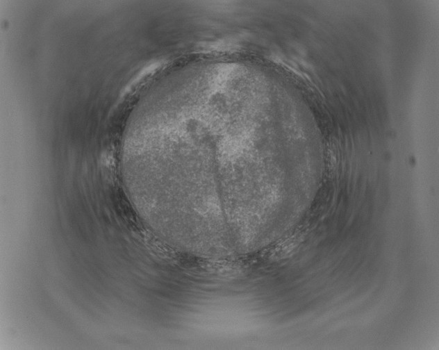 X0000074001254200609111549