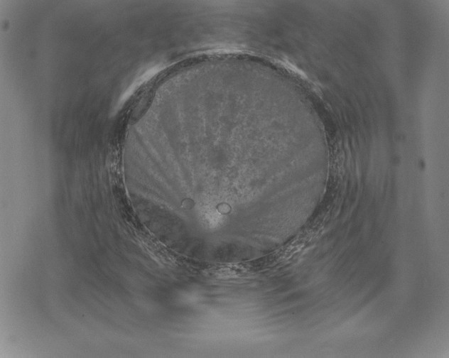 X0000074001255200609111549