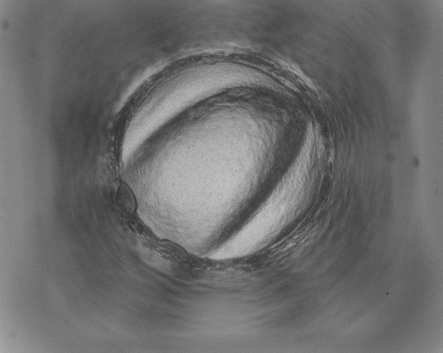 X0000074001256200609111549