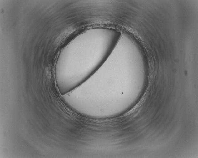 X0000074001257200609111549