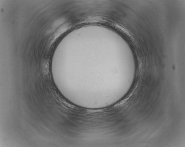 X0000074001258200609111549