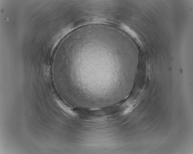 X0000074001260200609111549