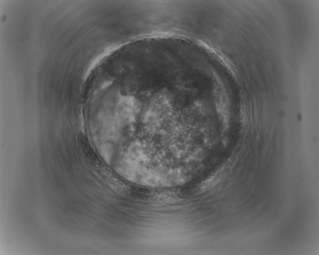 X0000074001262200609111549