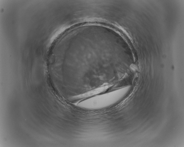 X0000074001263200609111549