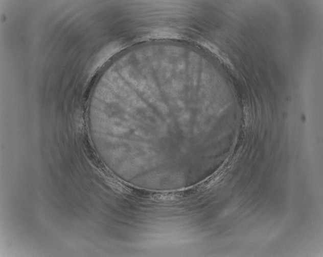 X0000074001266200609111549