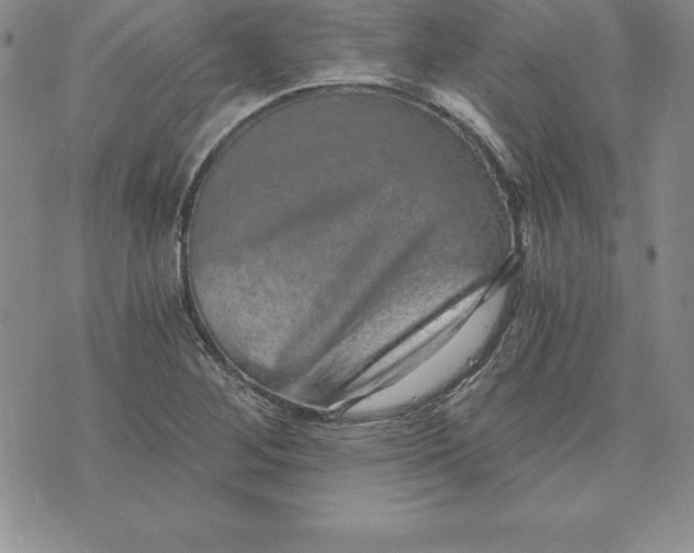 X0000074001268200609111549