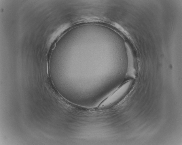 X0000074001269200609111549