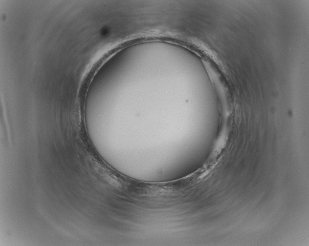 X0000074001270200609111549