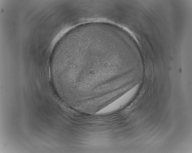 X0000074001271200609111549