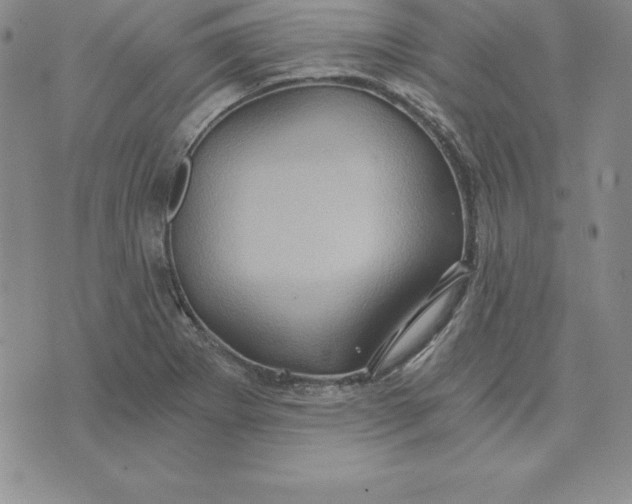 X0000074001273200609111549